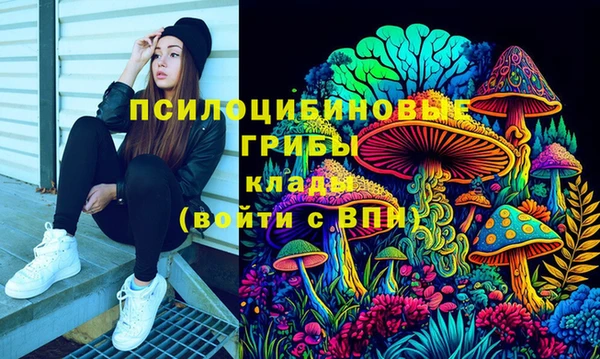 дурь Богородицк